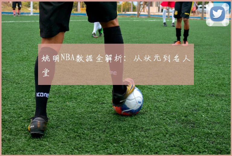 姚明NBA数据全解析：从状元到名人堂