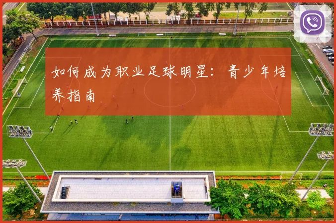 如何成为职业足球明星：青少年培养指南