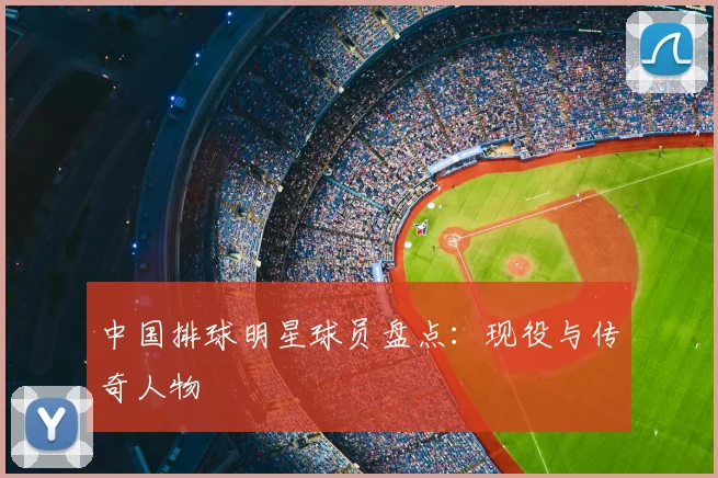 中国排球明星球员盘点：现役与传奇人物